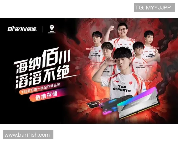 王者荣耀TES战队配合策略分析与实战应用探讨实时新闻