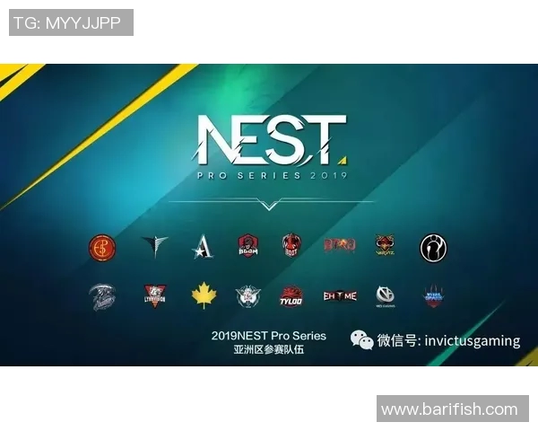 电竞实时数据揭示CSGO意识排名IG创新高引发热议实时新闻